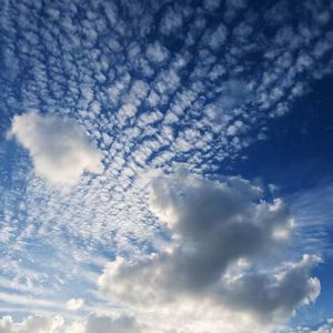 男人和雌性宠物交txt
